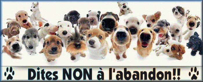les chiens